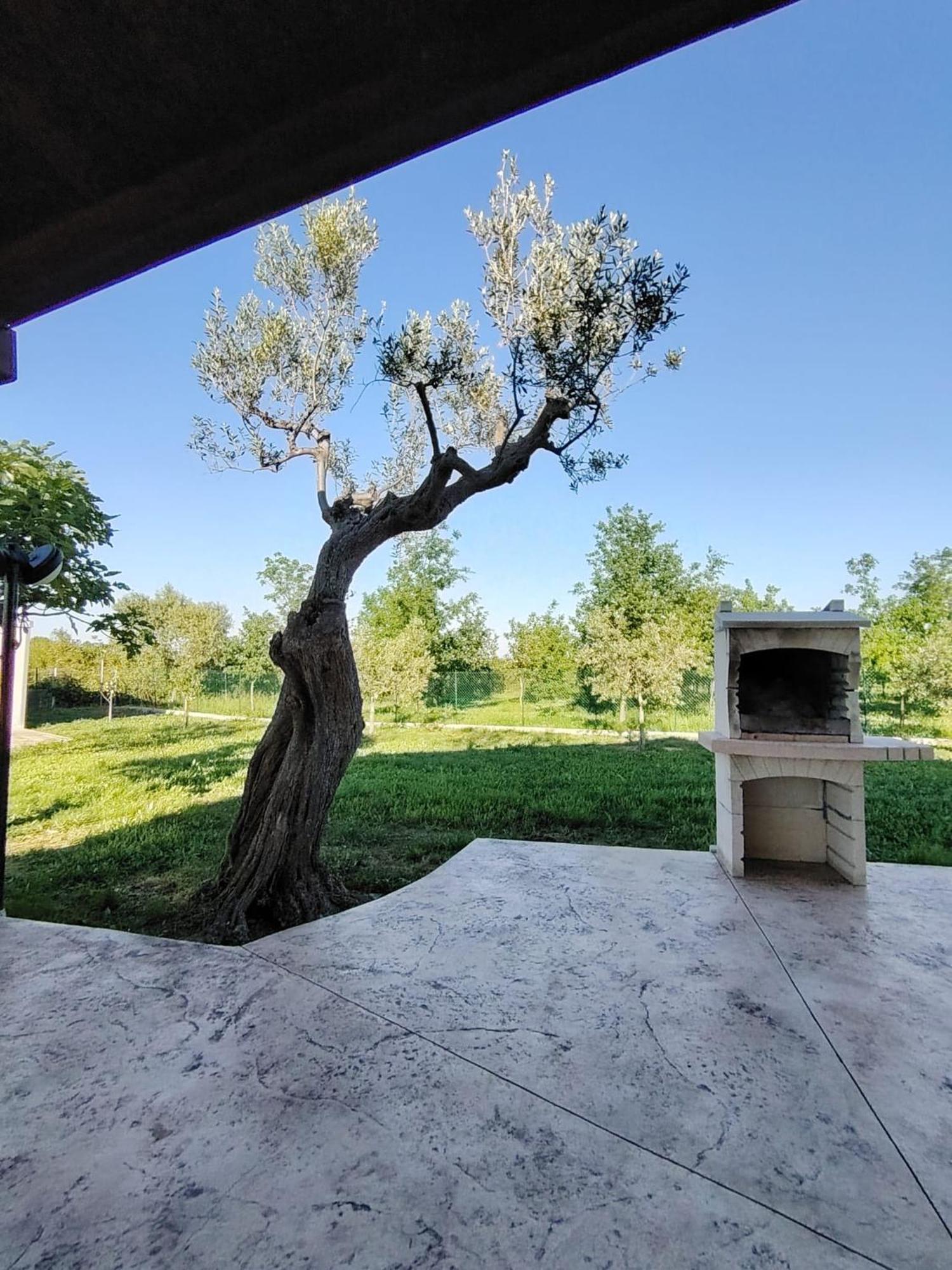 Casale Nel Verde San Vito Chietino Exteriér fotografie